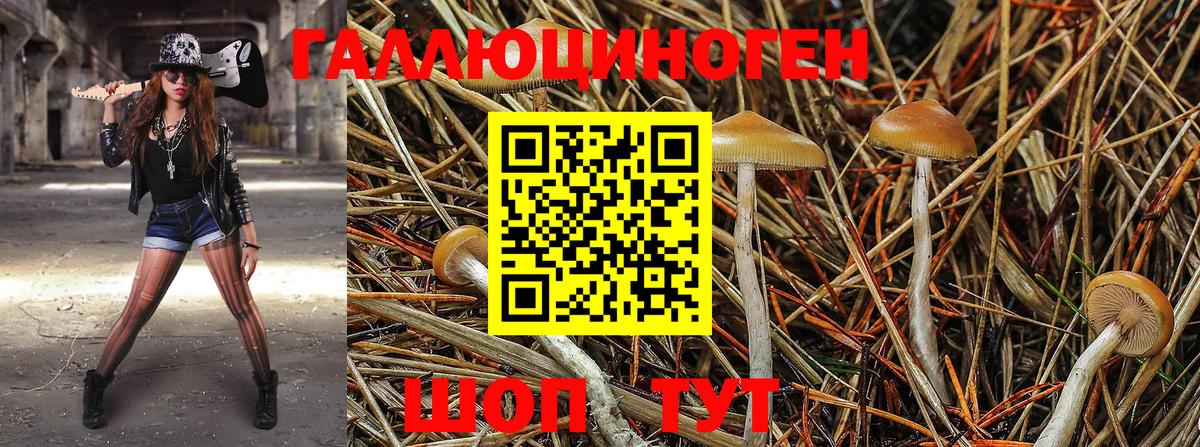 Галлюциногенные грибы Magic Shrooms Бугуруслан